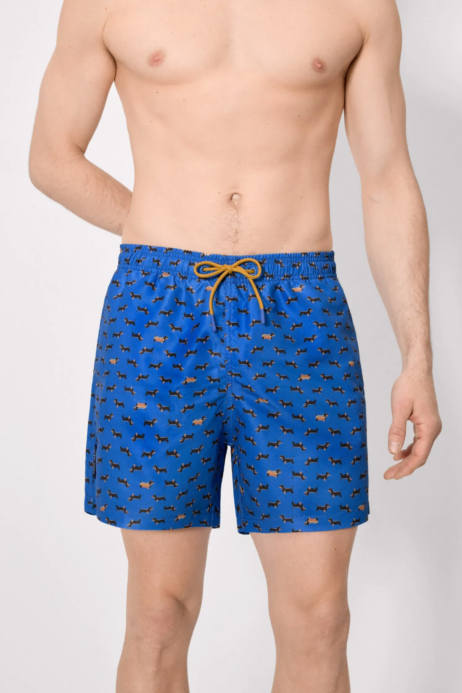 Bañador largo estampado perros salchicha azul