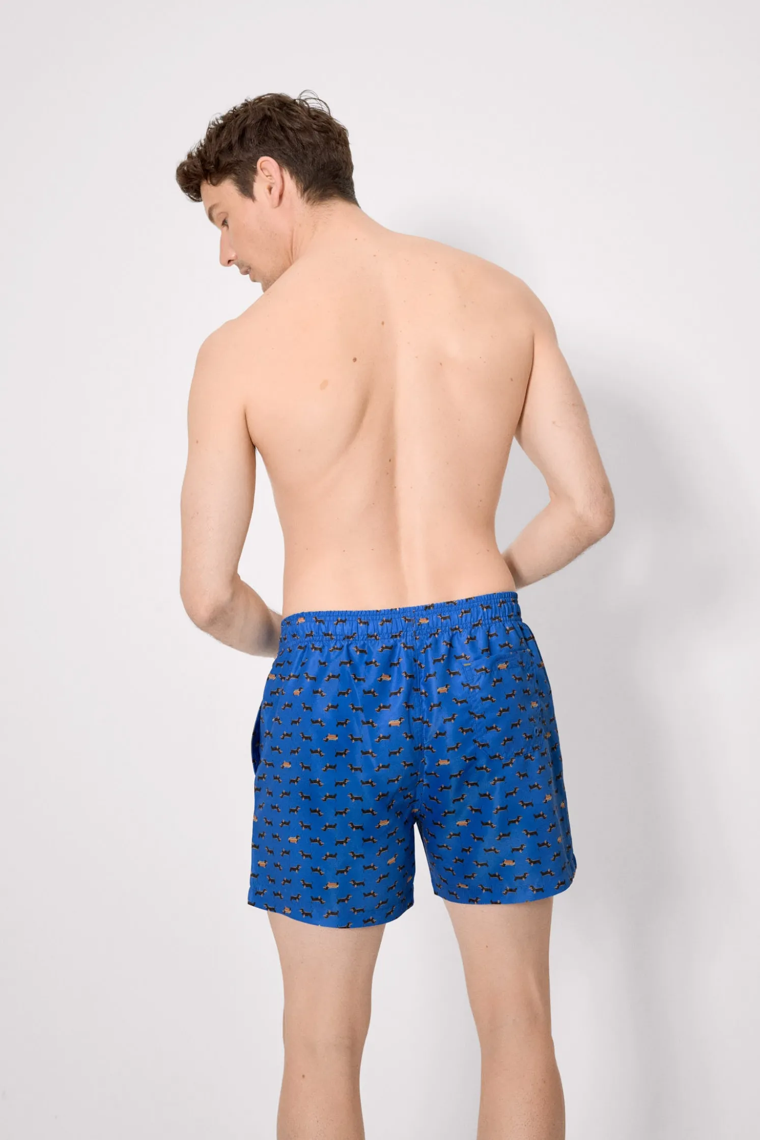 Bañador largo estampado perros salchicha azul