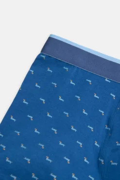 Pack bóxer y calcetín estampado perro salchicha