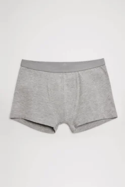 Pack de 2 bóxers juveniles algodón marino y gris